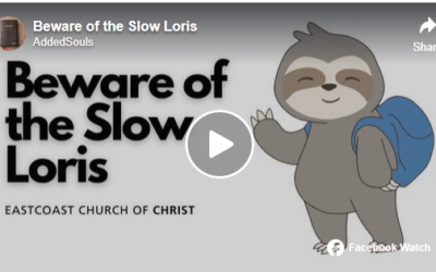 Beware of the Slow Loris